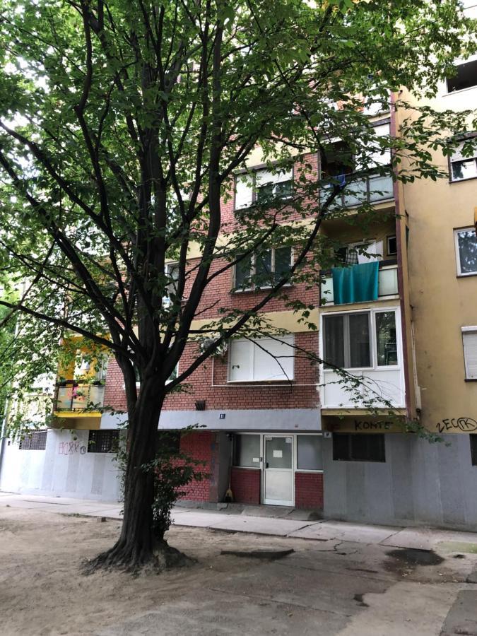 Apartman Lavanda Daire Novi Sad Dış mekan fotoğraf